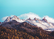 乐鱼体育官网：开启智慧投注的新纪元